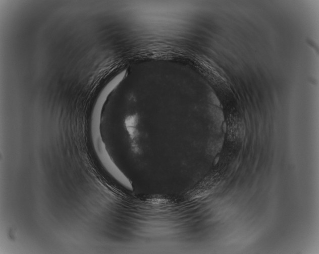 X0000094780748200712141620