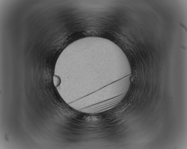 X0000094780751200712141620