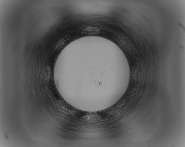 X0000094780752200712141620