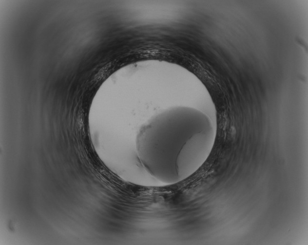 X0000094780754200712141620