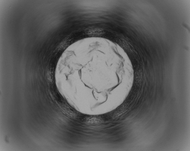 X0000094780755200712141620