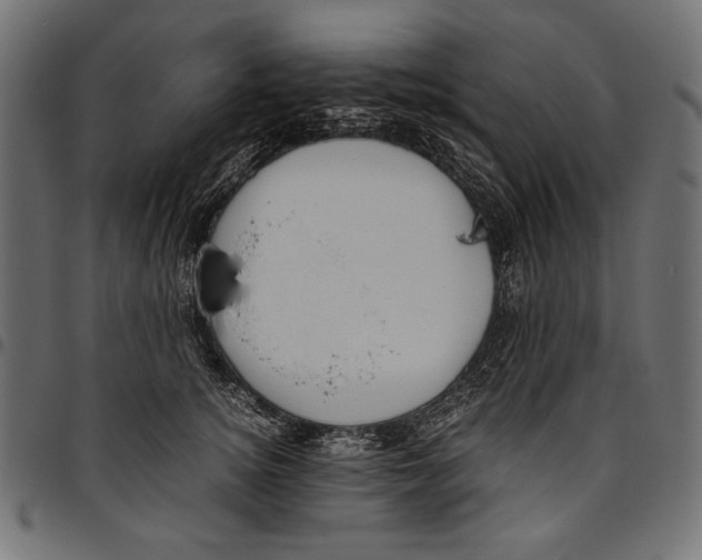 X0000094780756200712141620