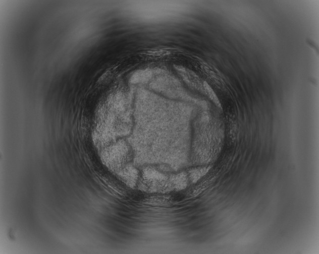 X0000094780758200712141620