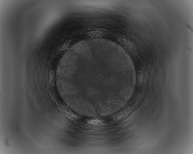 X0000094780759200712141620