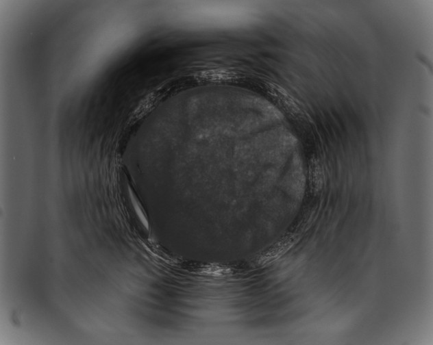 X0000094780760200712141620