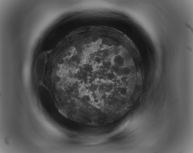 X0000094780765200712141620