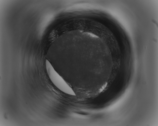 X0000094780766200712141620