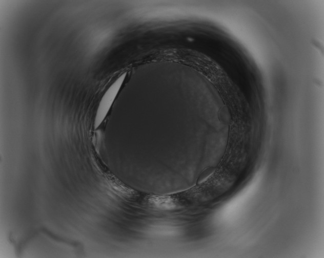 X0000094780767200712141620