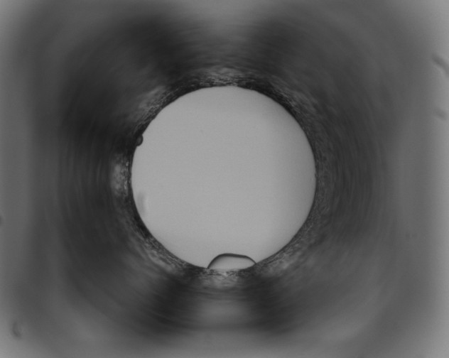 X0000094780768200712141620