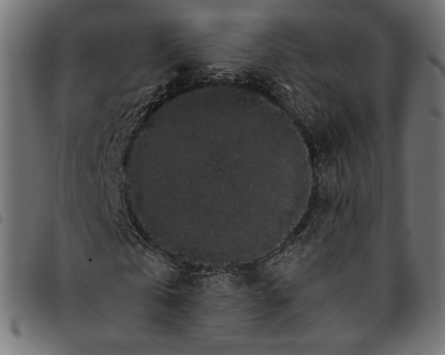 X0000094780769200712141619