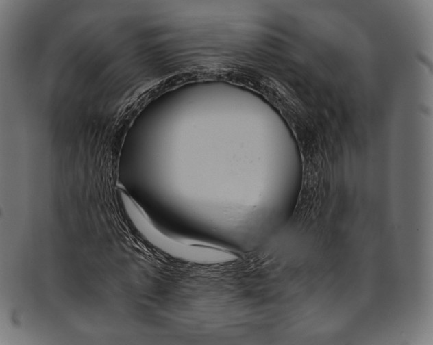 X0000094780773200712141619