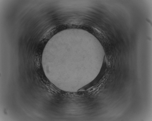 X0000094780774200712141619