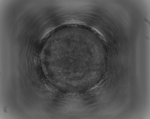 X0000094780775200712141619