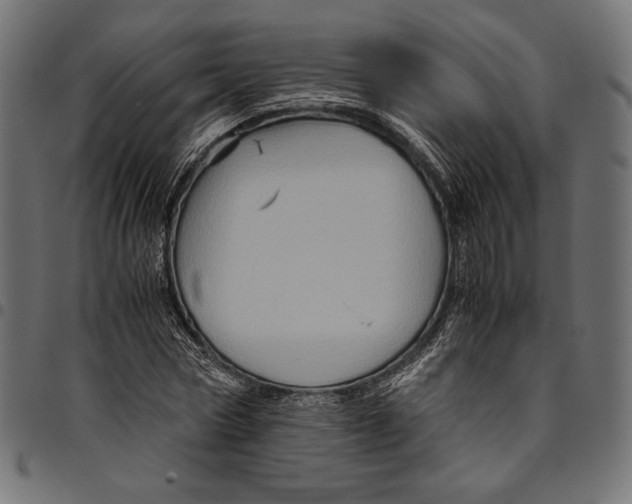 X0000094780778200712141619