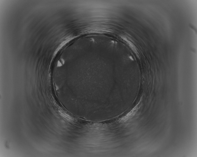 X0000094780779200712141619