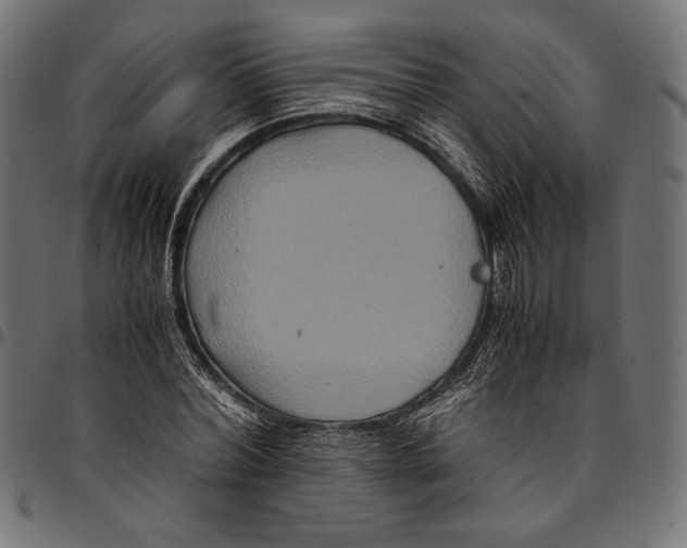 X0000094780780200712141619