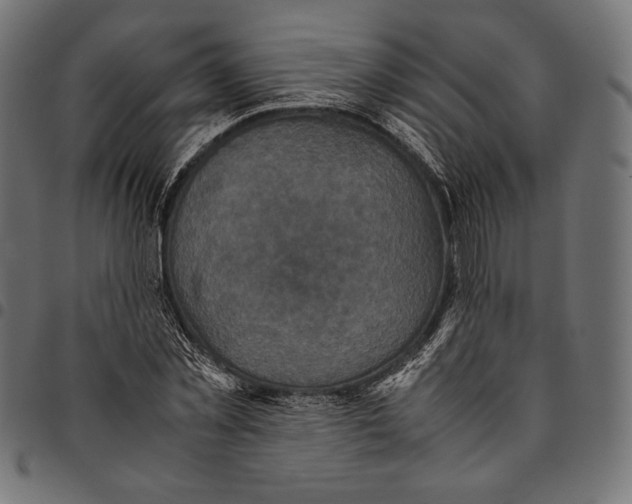 X0000094780781200712141619