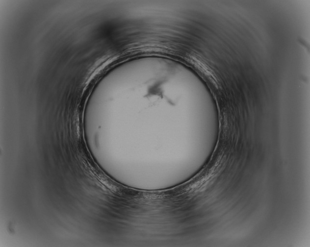 X0000094780782200712141619