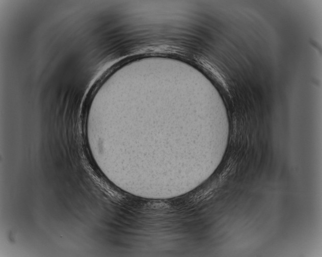 X0000094780784200712141619