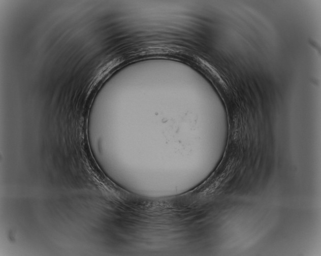 X0000094780786200712141619