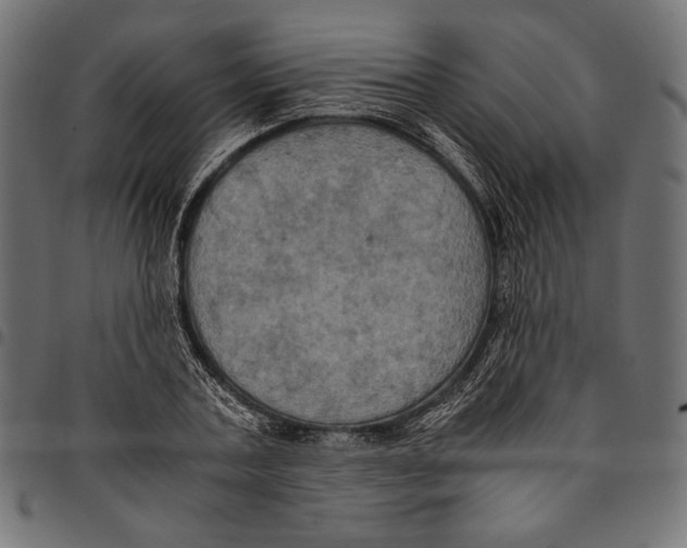 X0000094780787200712141619