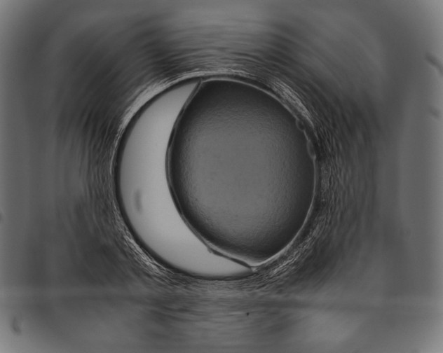 X0000094780789200712141619