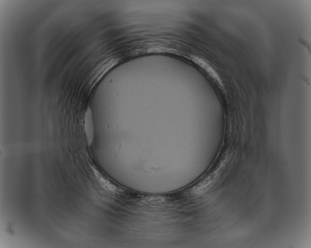 X0000094780801200712141619