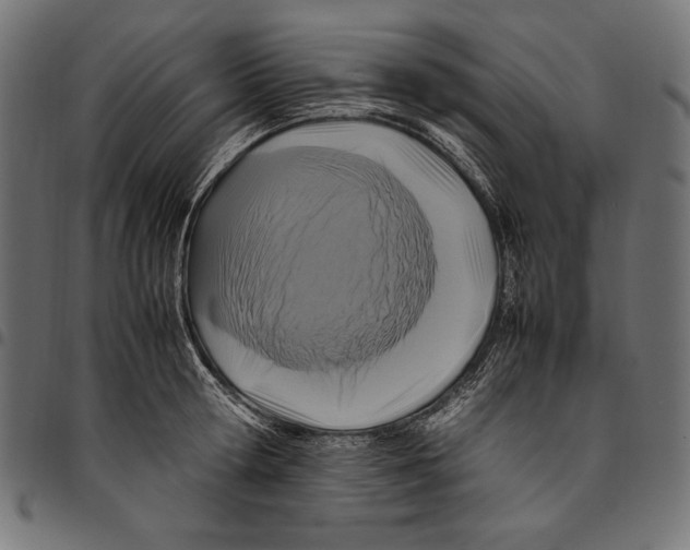 X0000094780802200712141619