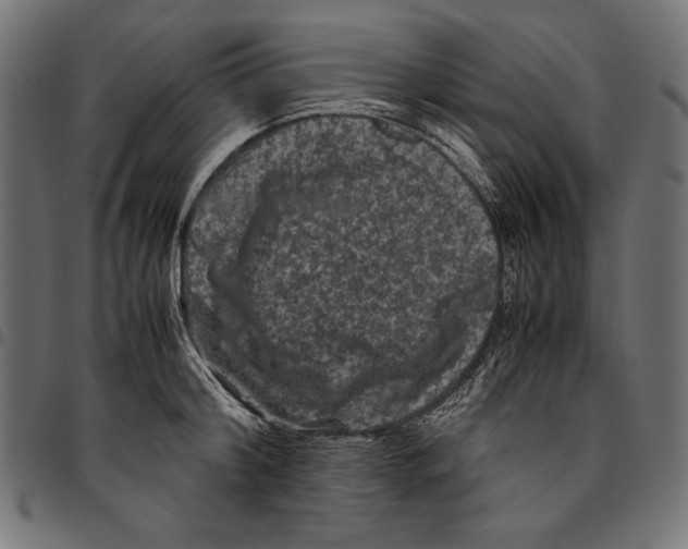 X0000094780804200712141619