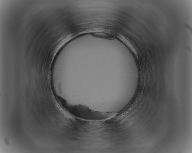 X0000094780805200712141619