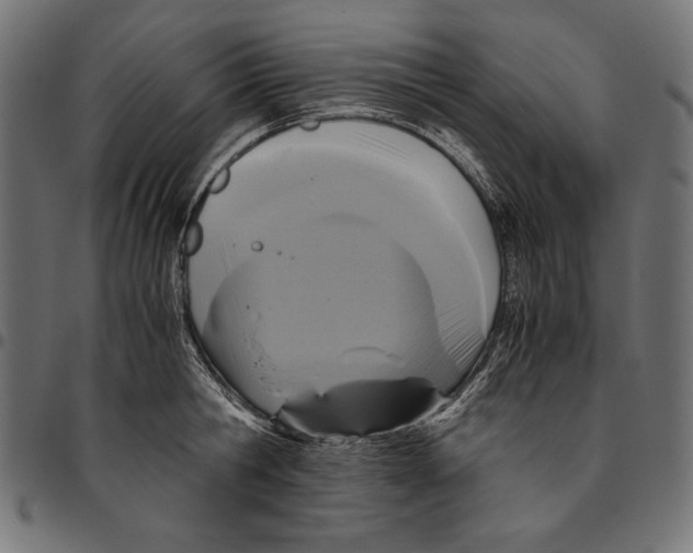 X0000094780806200712141619