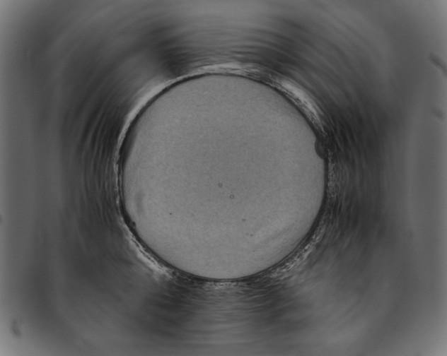 X0000094780808200712141619