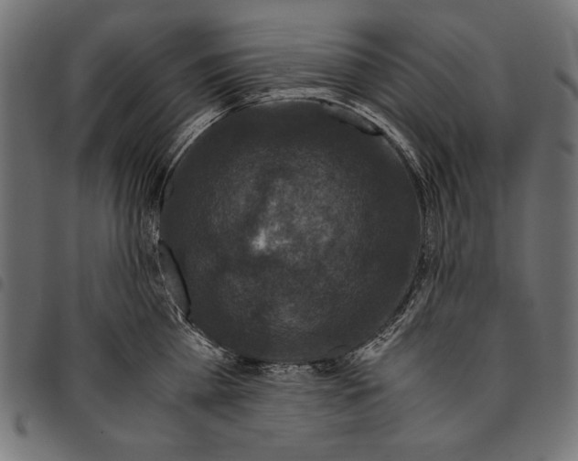 X0000094780809200712141619