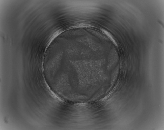 X0000094780810200712141619