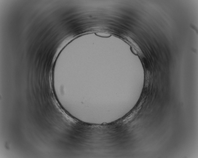 X0000094780812200712141619