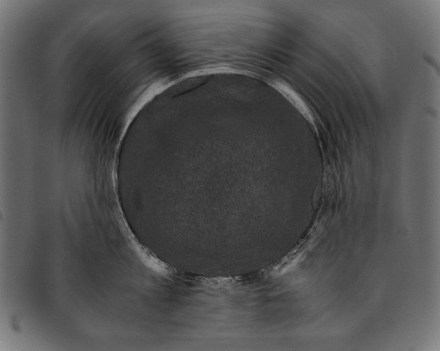 X0000094780813200712141619