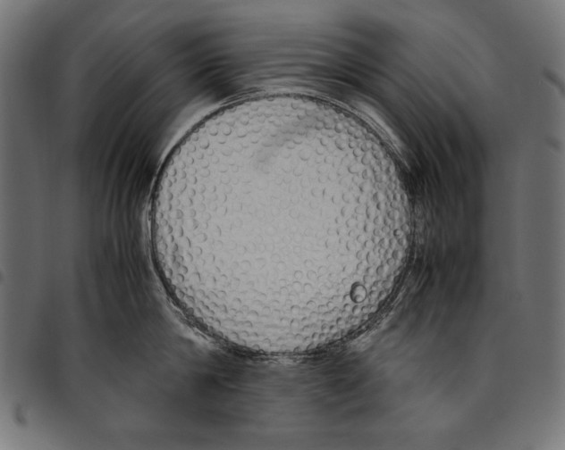 X0000094780814200712141619