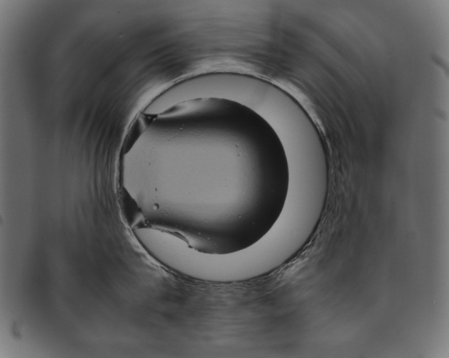 X0000094780815200712141619