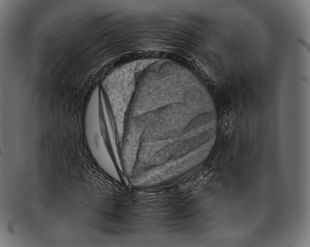 X0000094780821200712141618