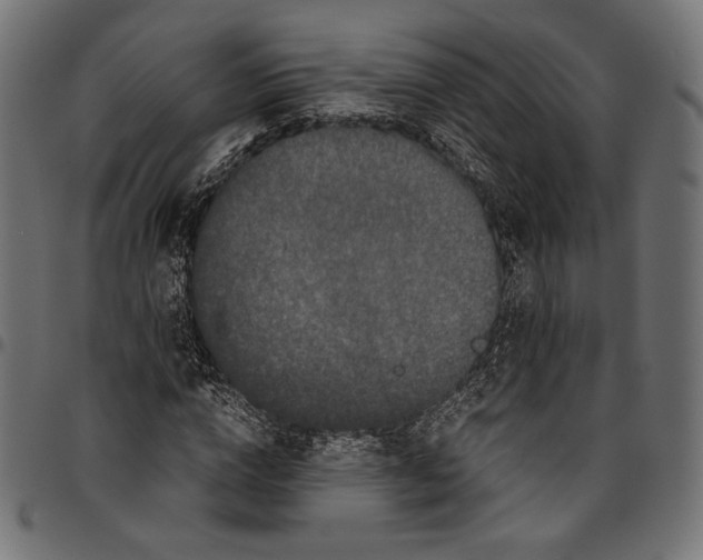 X0000094780824200712141618