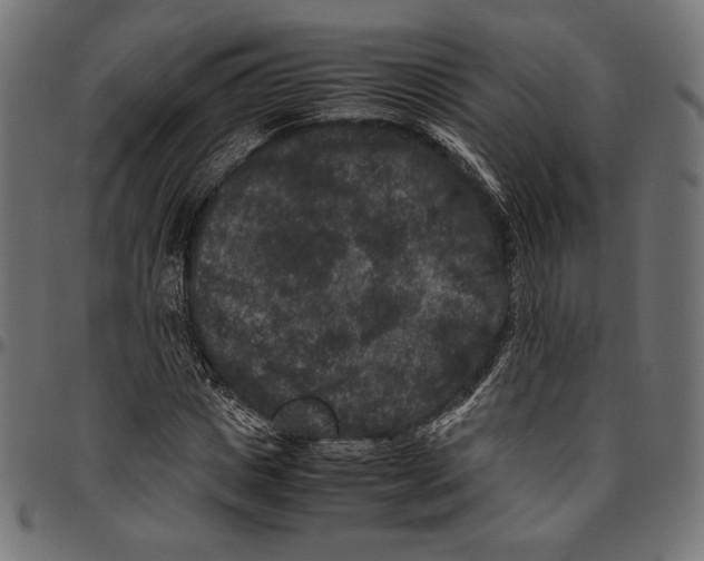 X0000094780825200712141618