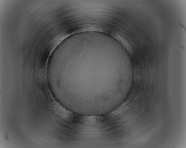 X0000094780828200712141618