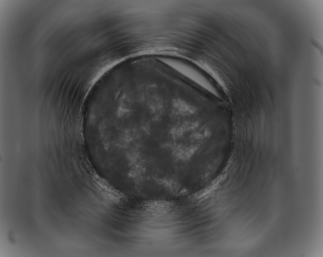 X0000094780830200712141618