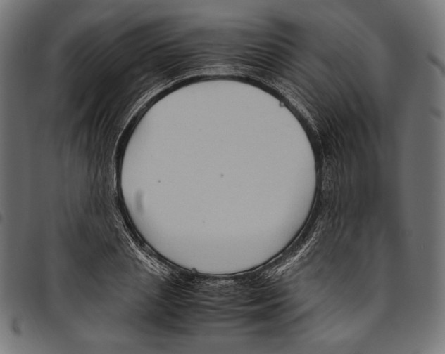 X0000094780837200712141618