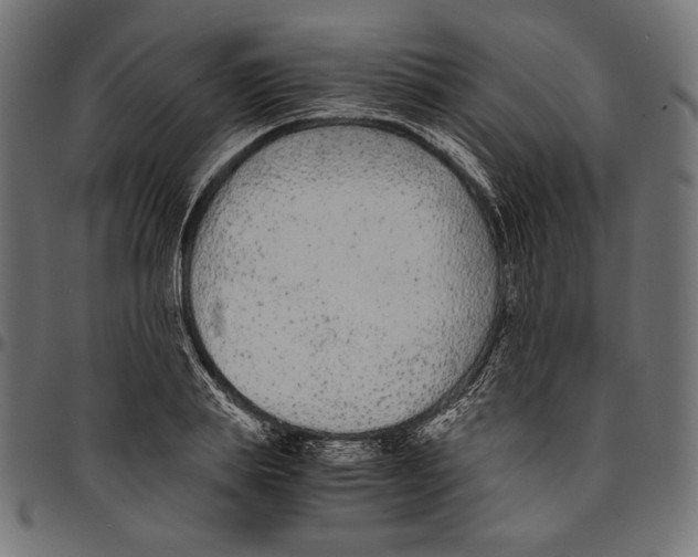 X0000094780839200712141618