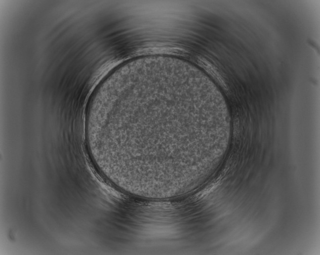 X0000094780844200712141618