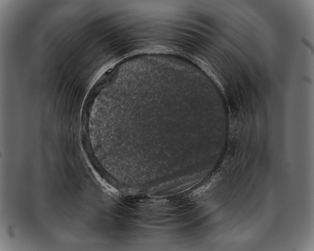 X0000094780845200712141618