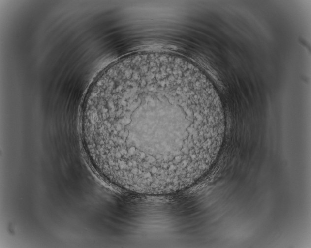 X0000094780848200712141618