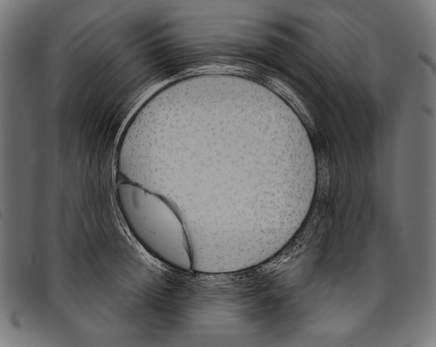 X0000094780852200712141618