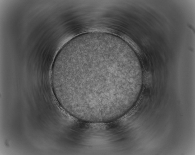 X0000094780856200712141619